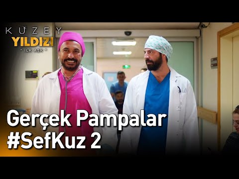 Video: Pampalar hansı ölkədədir?