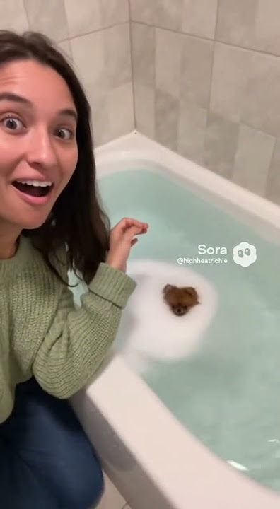 Magical dog bath bomb! 🤩 Sora 2 Ai