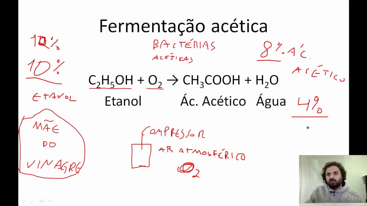 Fermentações em Enologia Parte 3 Acetificação