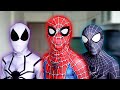 Team spiderman vs bad guy team  live action story 1