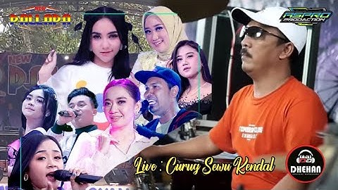 New Pallapa Terbaru 2022 Full Album Live Curug Sewu Kendal