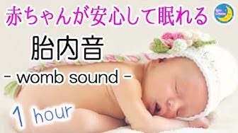 胎内音 Youtube