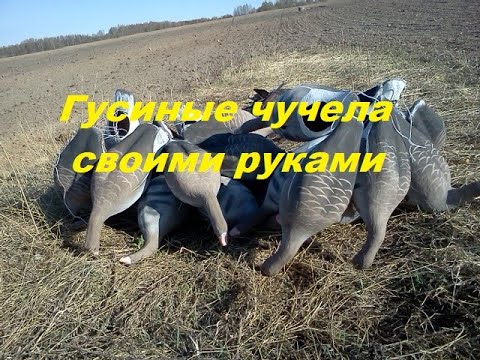 Как сделать чучело гуся для охоты своими руками видео