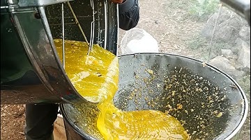 Mật ong Bạc Hà/Cao Nguyên Đá Đồng Văn/Đặc Sản Hà Giang/Phi Khanh/Quá trình tạo ra Mật ong Bạc Hà.