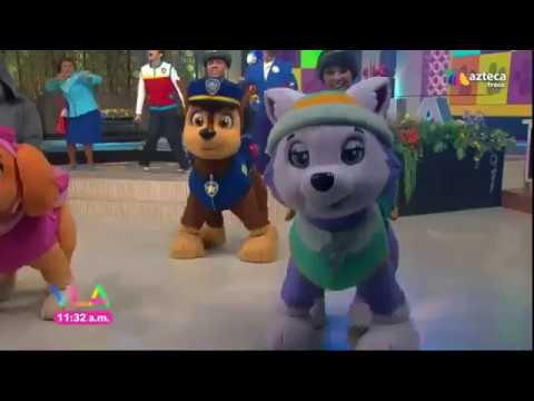 Mony PawPatrol 