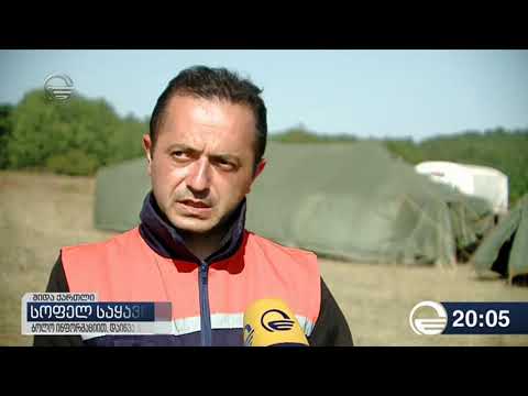 სოფელ საყავრეში ხანძარი ლოკალიზებულია