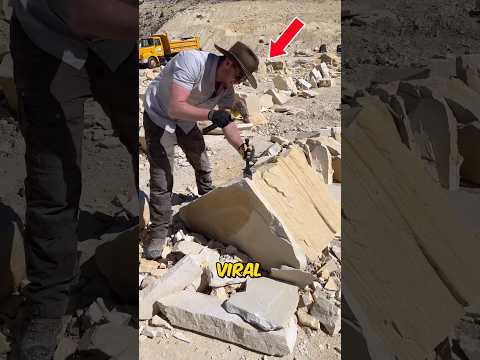 Rare Ancient Fossils...