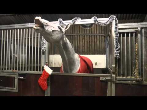 christmas-horses-santa
