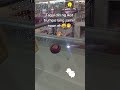 @toy
