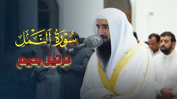 تلاوة مميزة ما تيسر من سورة النمل | من صلاة العشاء بصوت الشيخ حمزة معاذ | 28-5-1446 هـ