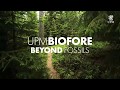 Upm biofore  beyond fossils