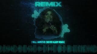 Gloria Gaynor - I Will Survive (Never Sleep Remix)