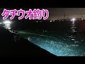 ＬＥＤ投光器を使ってタチウオ釣り