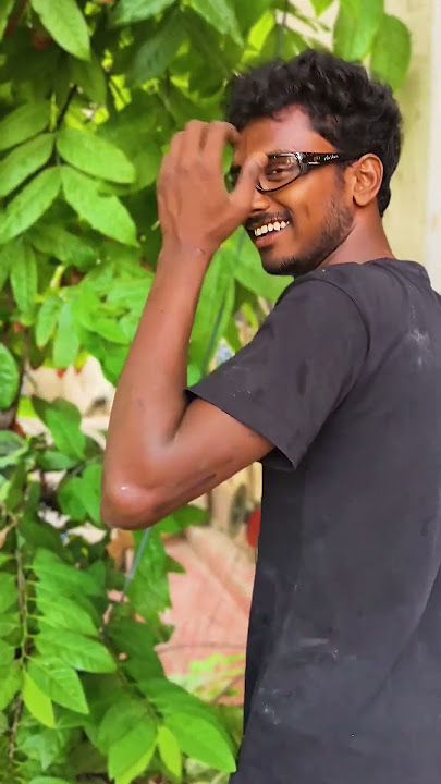 காப்பாற்றபட்ட பூவரசமரம் #petromaxlight  #viralvideo #treerescue #tree #savenature #savetrees