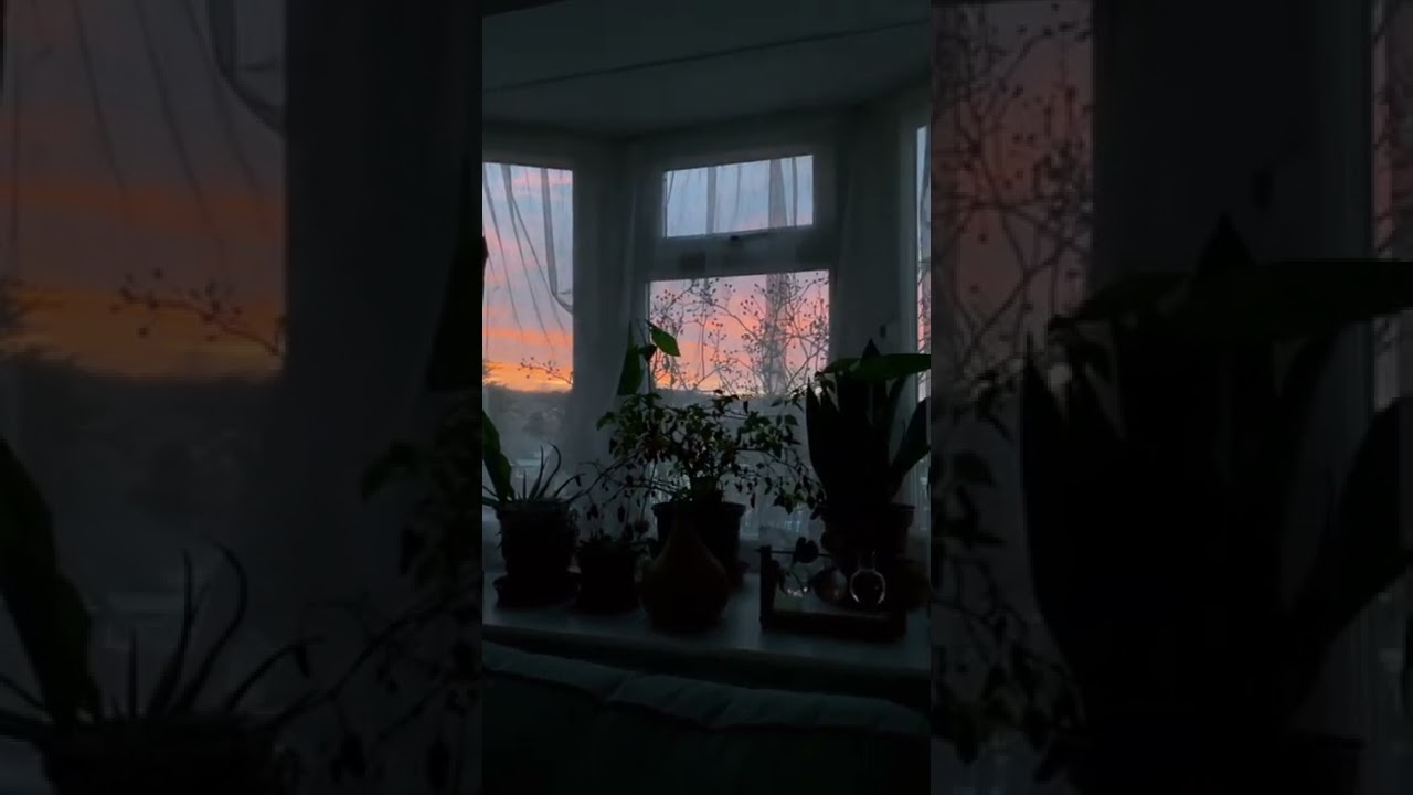 Sunsets Through The Window tiktok elisetanriverdi