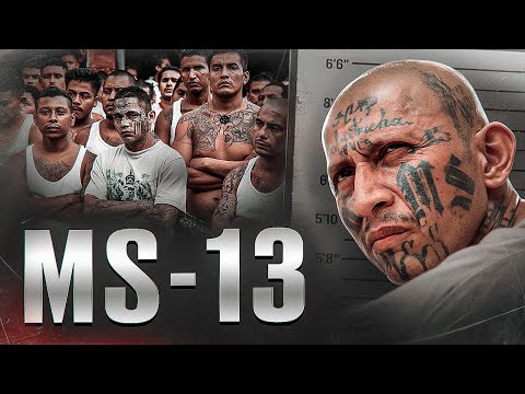 LA BANDE LA PLUS CRUELLE Mara Salvatrucha MS 13
