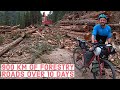 BIKEPACKING 900km on Vancouver Island | Part 1: Victoria to Port Alberni