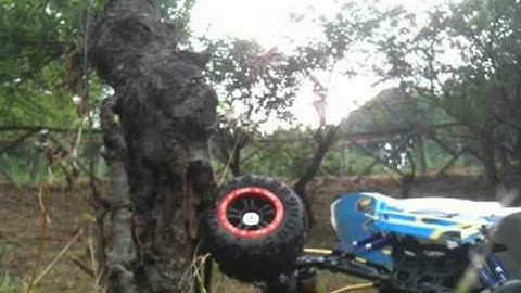 Il mio Basilisk - Redcat rockslide 1/8 - 1