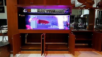 Meen ฉะเชิงเทรา Overflow Set 3