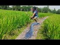 Top Bamboo Arrow Bow Fishing Video | New Fishing Method In Village | Bamboo Crossbow fishing Video