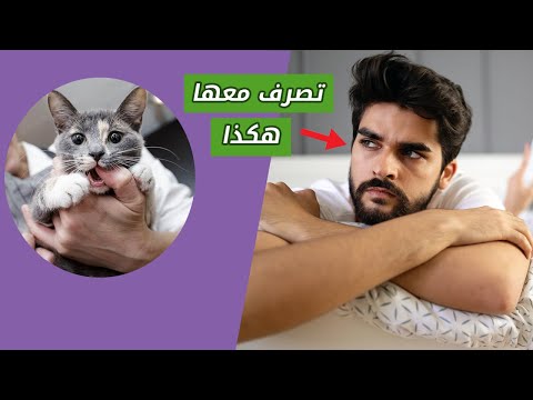 فيديو: لماذا تعض القطط عندما تداعبها وفقط هكذا؟