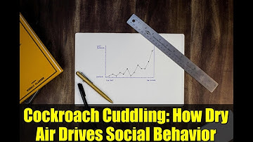 Cockroach Cuddling: How Dry Air Drives Social Behavior
