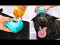 Cute And Smart Pet Gadgets, Hacks And DIY Crafts That Might Be Useful