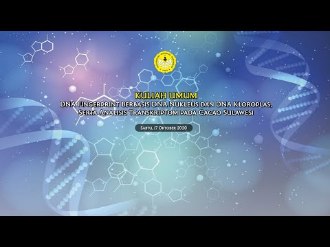 Video: Perbedaan Antara DNA Mitokondria Dan DNA Kloroplas