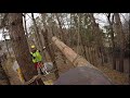 Broken Dead Pine Removal [Part 2]