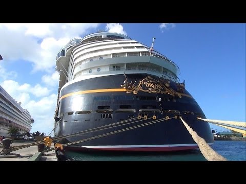Disney デイズニー　トレーナー \"Disney Cruise Line\" Disney Store Mickey and Friends Disney Cruise Line Ladies