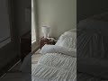 Day 10. no rush, just ease into it 🛏️ — #calmvibes #peacefulmind #slowmorning #quietmoments#quietude