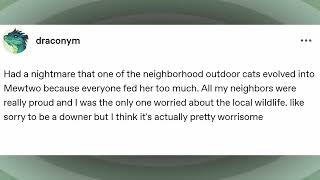 Mewtwo, the Outdoor Cat
