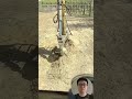 Tree Stump Removal Process #DIY #Tools #WorkProcess