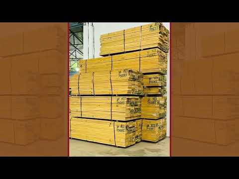 خشب تيك افريقي  خشب بتش باين برايم