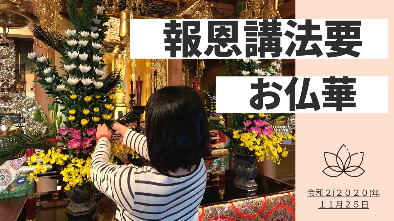海徳寺流お仏華の生け方 浄土真宗本願寺派 仏花 Youtube