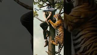 Brave Girl Vs Wild Tiger Epic Survival Fight In The Jungle Real Life Hero Moment