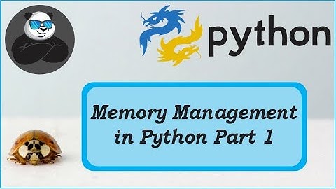 Memory Management in Python | Important Topic | Part -1 (पाइथन में मेमोरी मैनेजमेंट कैसे होता है?)