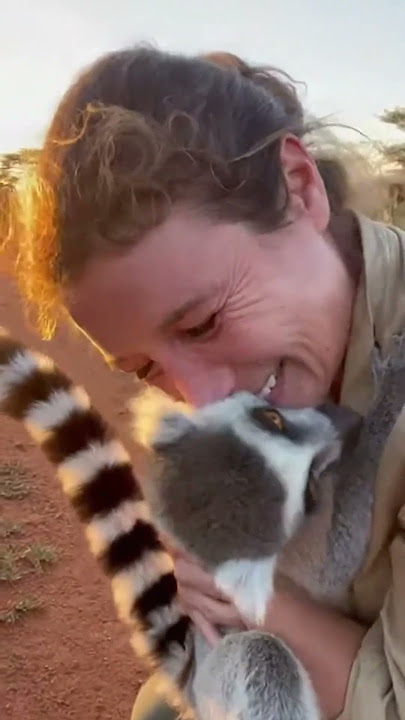 Download lagu Animals Rushing Back to an Old Friend 😭❤️ | Emotional Reunion