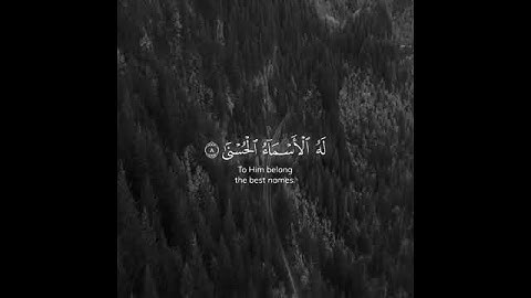 قرآن كريم بصوت القارئ شريف مصطفى - اجمل حالات واتس اب دينية ❤🍃