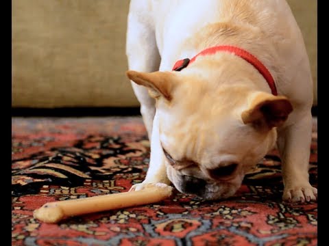 talking-oriental-rug-gets-special-cleaning-by-dalworth-rug-cleaning