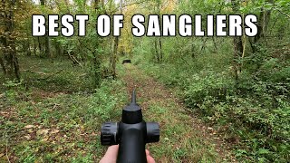 Compilation Chasse Aux Sangliers Des Scènes Exceptionnelles