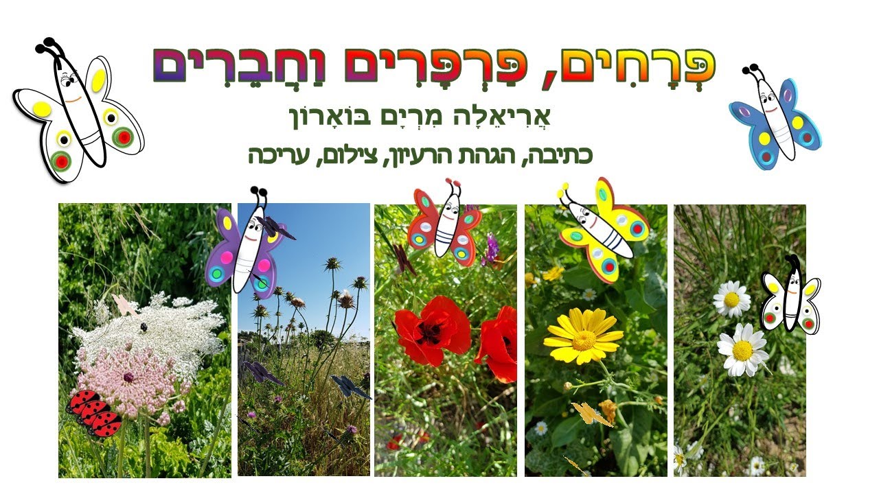 אביב פרחים חברים ופרפרים סיפור על פרחים פרפרים וחברים עונת האביב