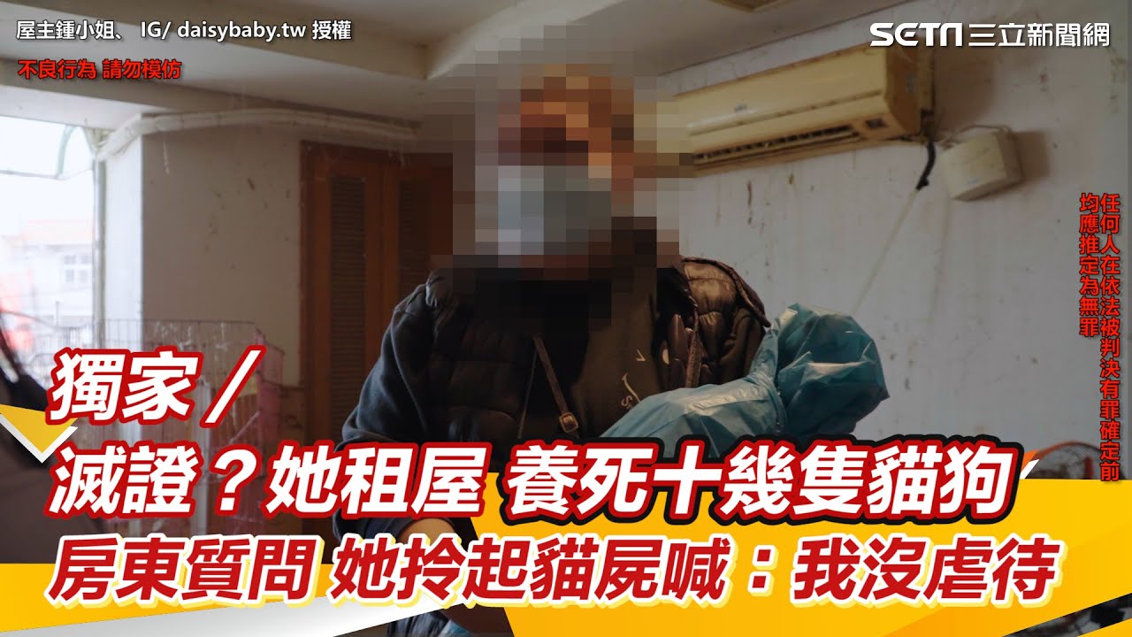 獨家∕滅證？她租屋養死十幾隻貓狗  房東破門質問她拎起貓屍喊：我沒虐待 #囤動物症｜三立新聞網 SETN.com
