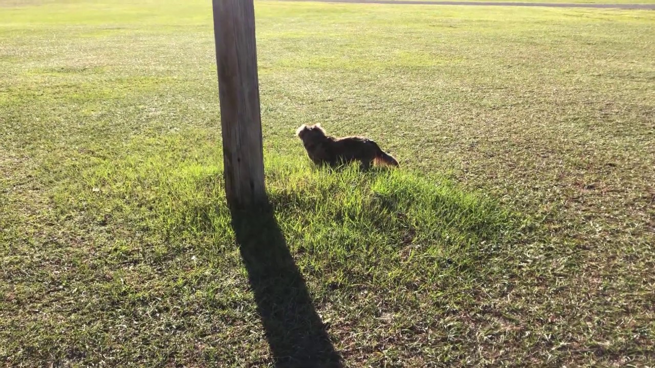 Camping at Perry FL Elks Lodge 1851 YouTube