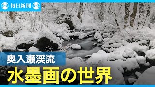 厳冬期の奥入瀬渓流　雪に覆われ神秘的な水墨画の世界