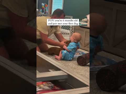 JasonDeruloTV So Cute GotPermissionToPost From McKinneyAdventures FromTheIslands