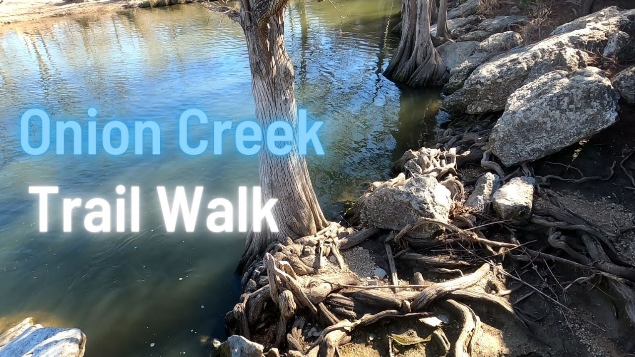 60 minute walk in the forest on the Onion Creek Trail // 4K Austin Texas POV Hike YouTube