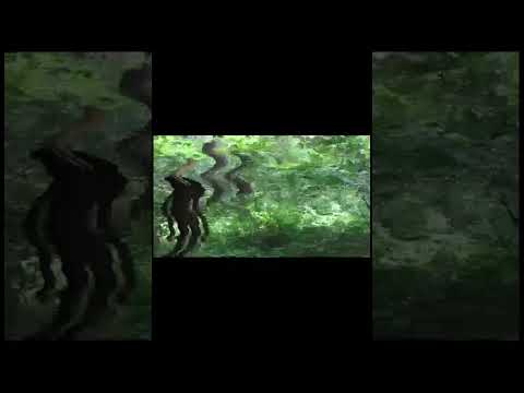 Слэндермен #memes #scary #paranormal #creepy #мем #мем #slenderman #slender