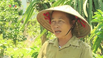 Thuốc bảo vệ thực vật sinh học - Hướng đi cho phát triển nông nghiệp gắn với bảo vệ môi trường| VTV4