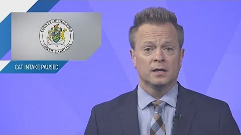 Guilford County animal shelter temporarily stops taking cats after virus outbreak